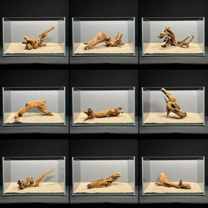 8”-10” Malaysian Driftwood (NEW)