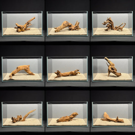 8”-10” Malaysian Driftwood (NEW)