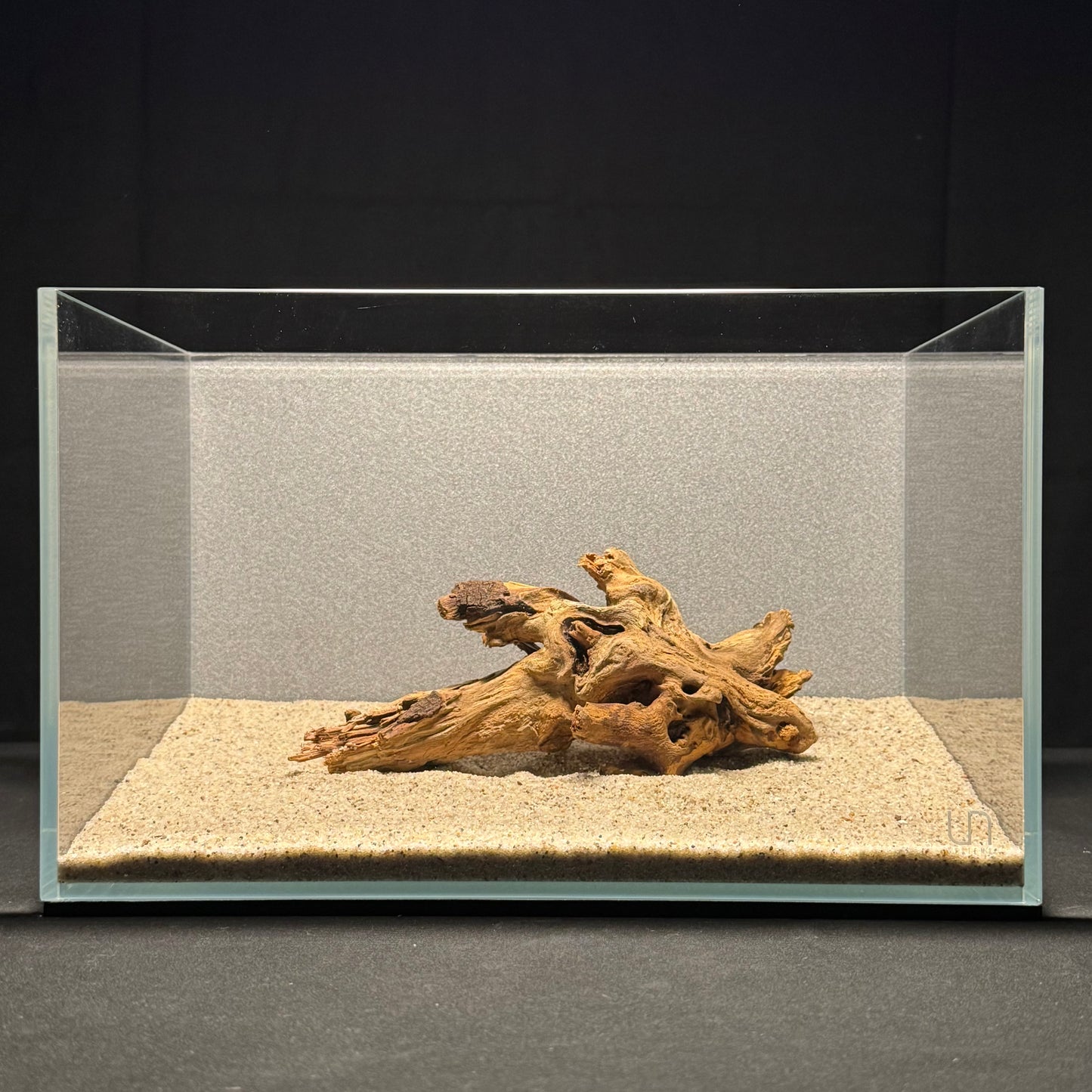 7”-8” Malaysian Driftwood