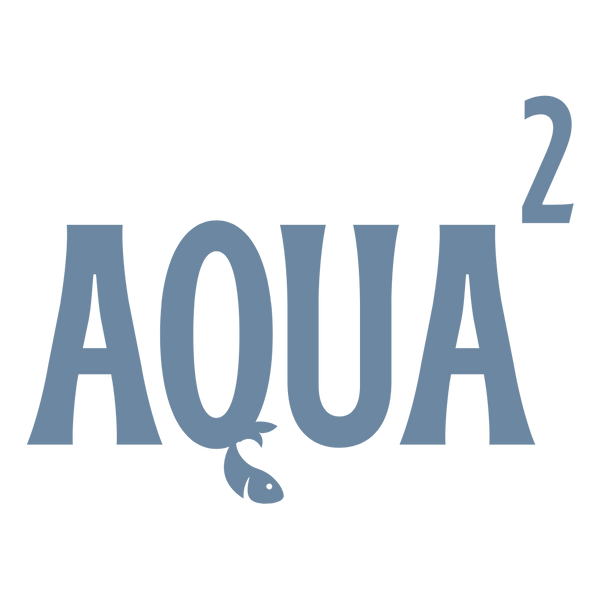 Aquarium Aquascape