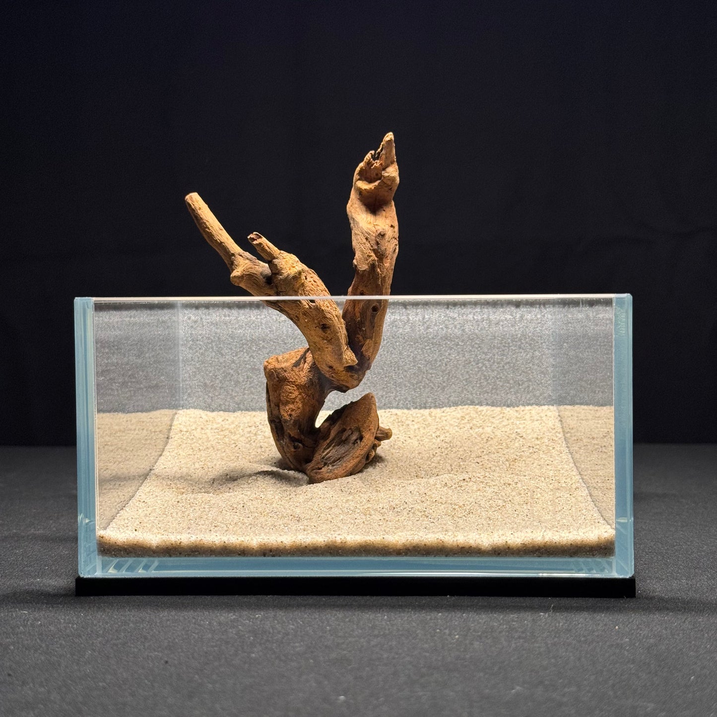 5"-6” Malaysian Driftwood