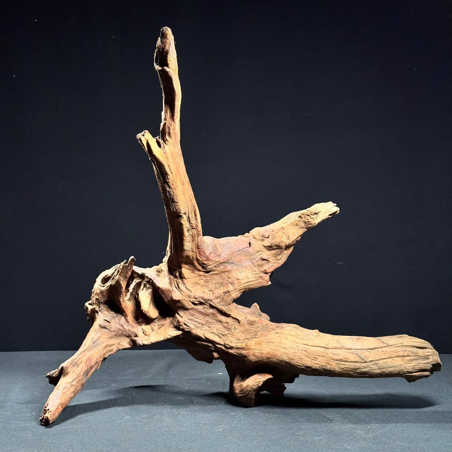 18” Malaysian Driftwood