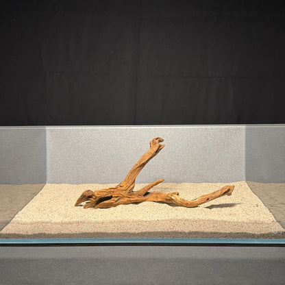 10”-12” Malaysian Driftwood