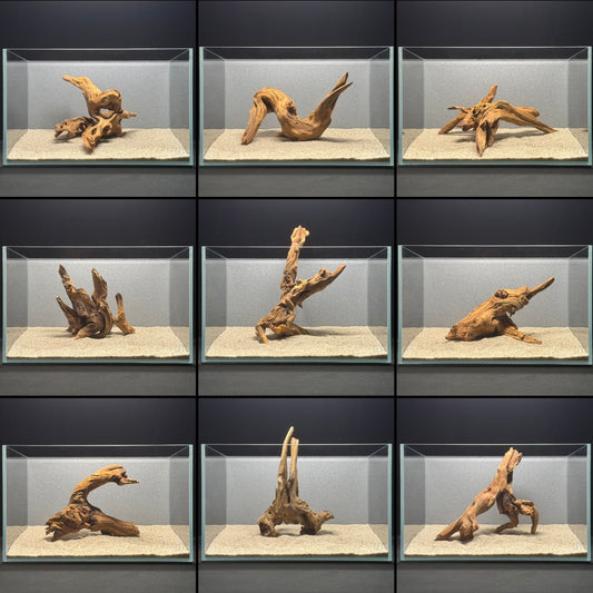 7”-11” Malaysian Driftwood