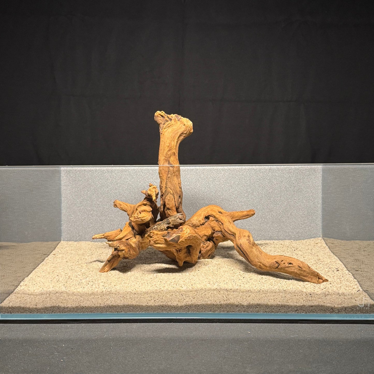 12”-16” Malaysian Driftwood