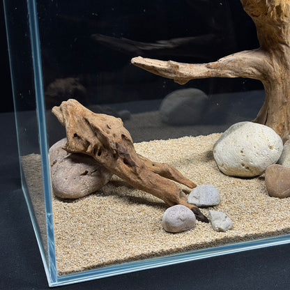 2 Gallon Complete Nano Hardscape Setup
