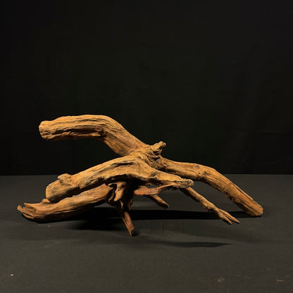 21” Malaysian Driftwood