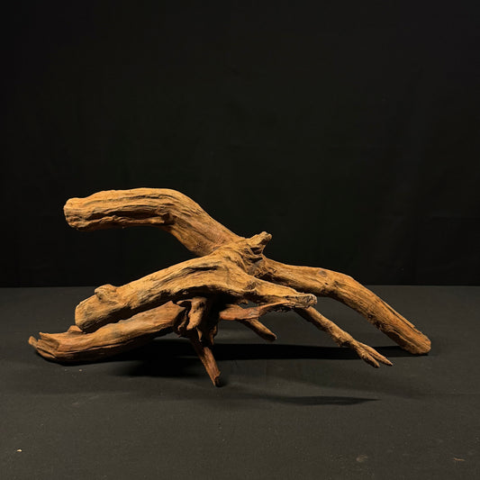 21” Malaysian Driftwood