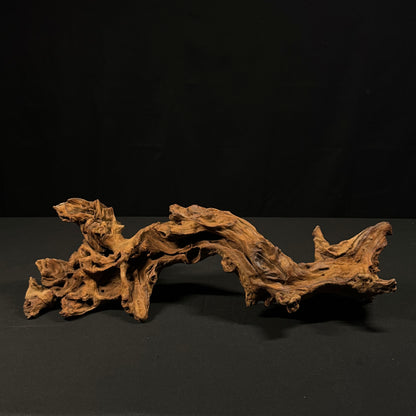 20” Malaysian Driftwood