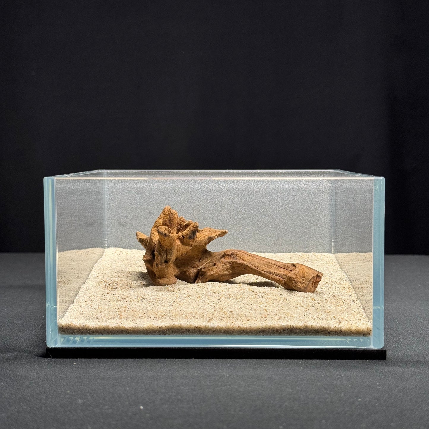 4”-6” Malaysian Driftwood (NEW)