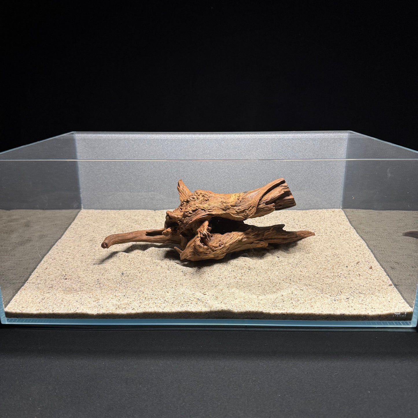 10”-12” Malaysian Driftwood [Tannins]