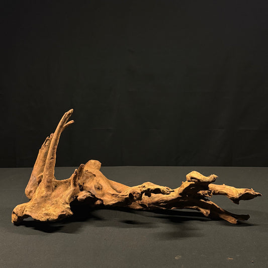 20” Malaysian Driftwood