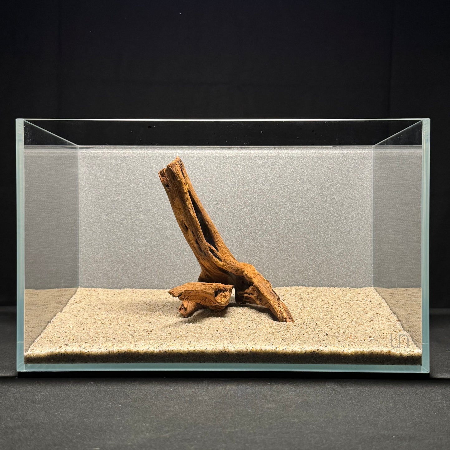 7”-8” Malaysian Driftwood