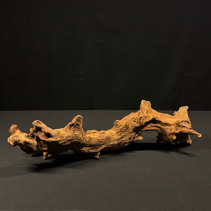 20” Malaysian Driftwood
