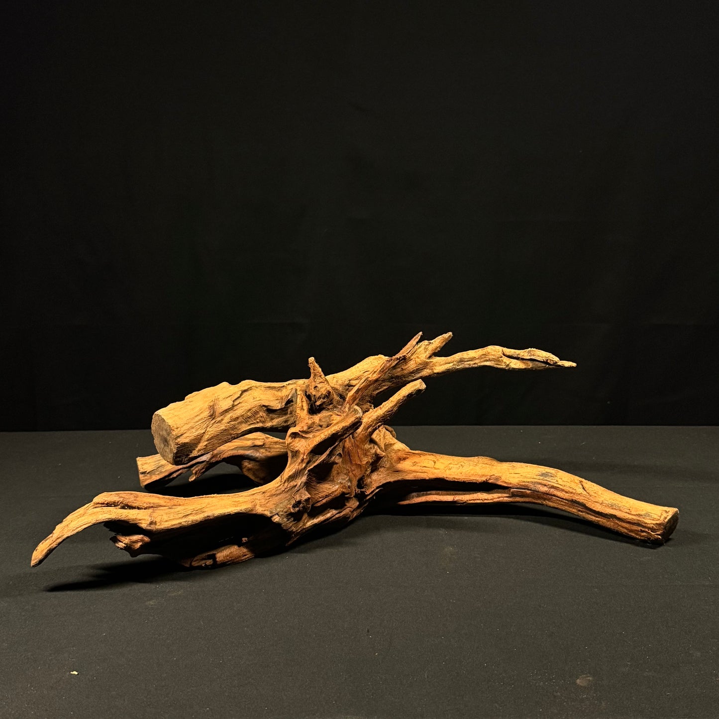 21” Malaysian Driftwood