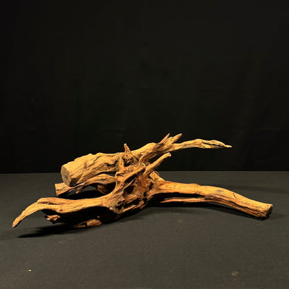 21” Malaysian Driftwood