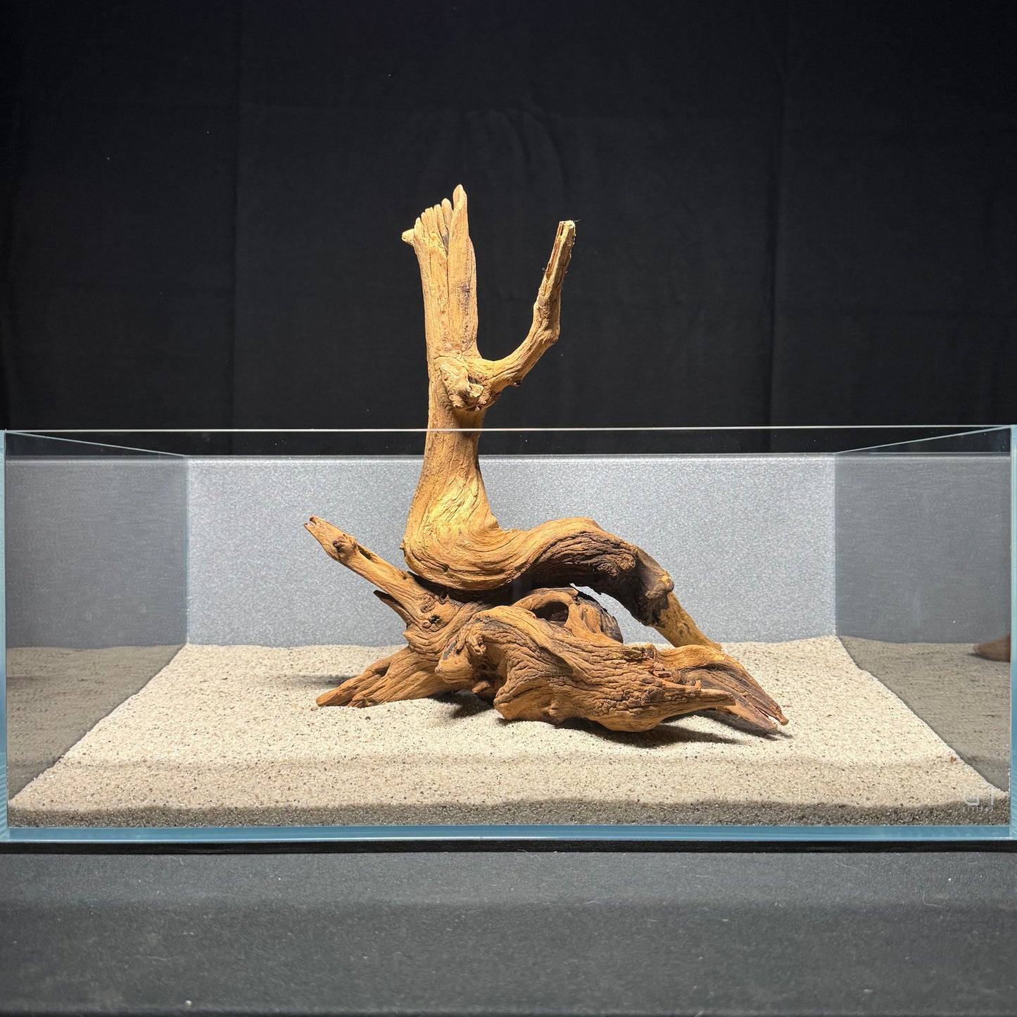 12”-14” Malaysian Driftwood