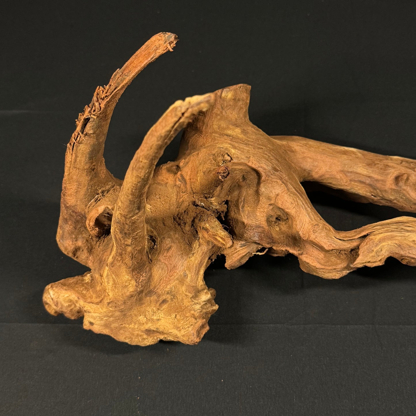 20” Malaysian Driftwood