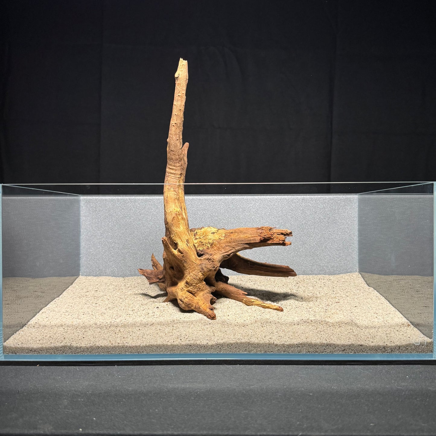 12”-14” Malaysian Driftwood