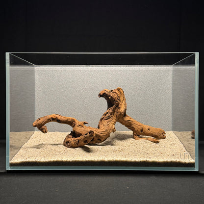 8”-10” Malaysian Driftwood