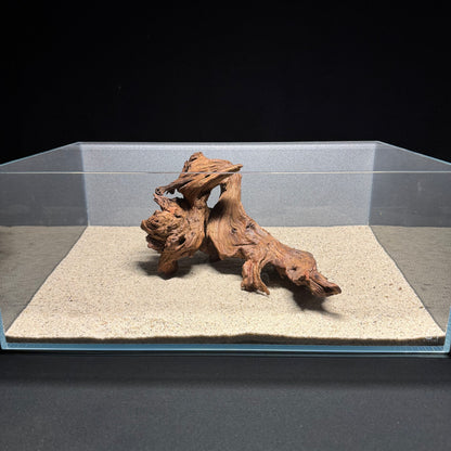 10”-12” Malaysian Driftwood [Tannins]