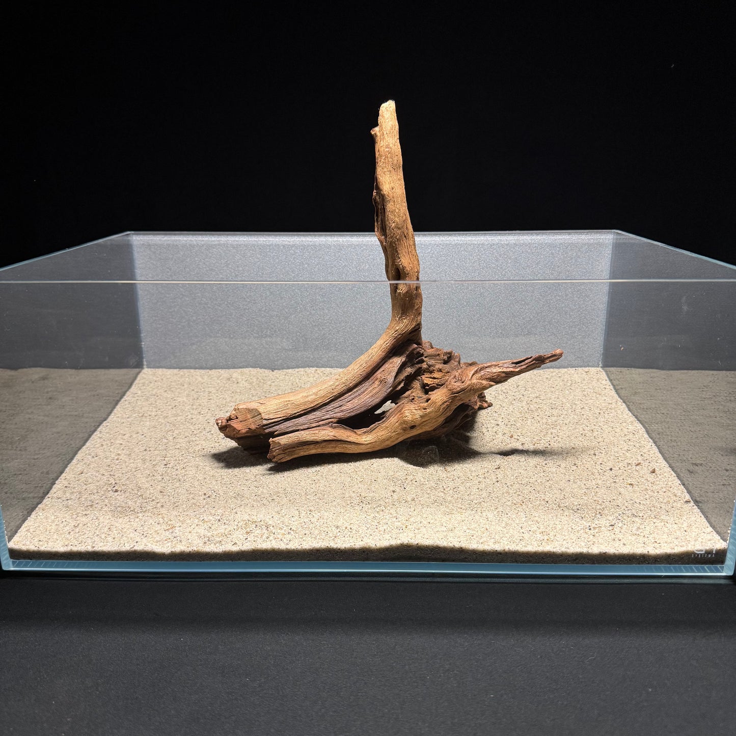 10”-12” Malaysian Driftwood [Tannins]