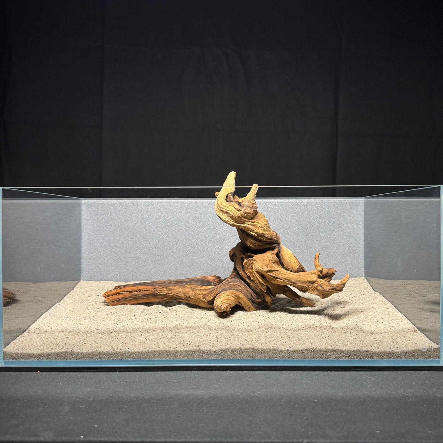 12”-14” Malaysian Driftwood