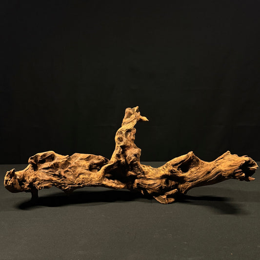 22” Malaysian Driftwood