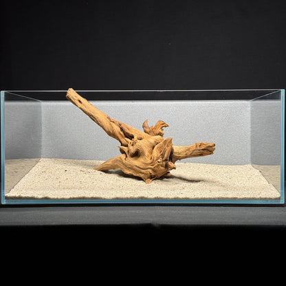 12”-14” Malaysian Driftwood