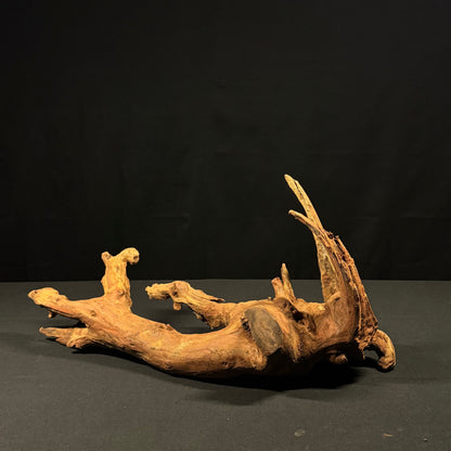 20” Malaysian Driftwood
