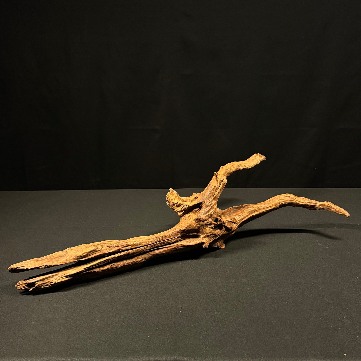 22” Malaysian Driftwood