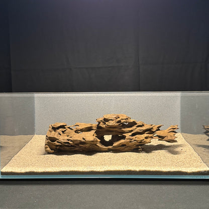 Dragon Wood for Aquarium (12-16")