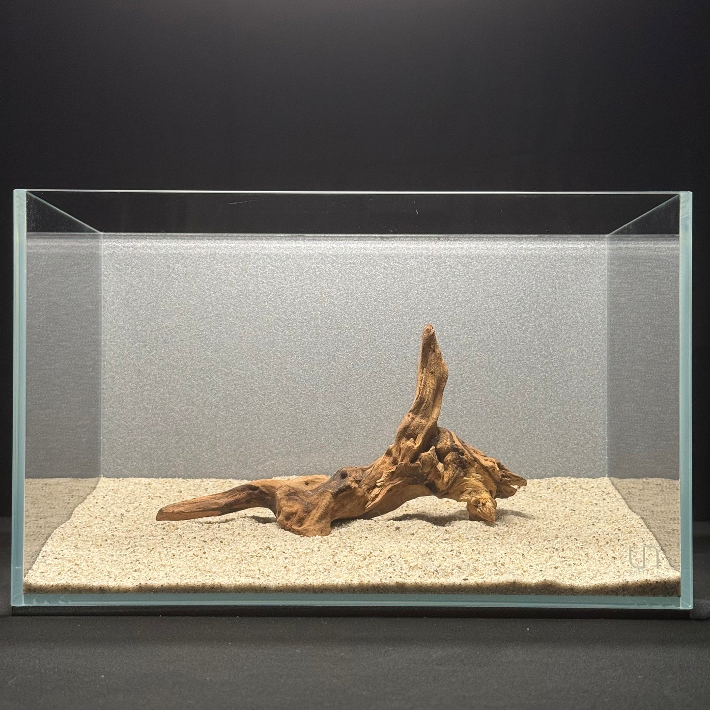 5”-8” Malaysian Driftwood