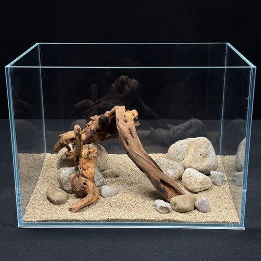 2 Gallon Complete Nano Hardscape Setup