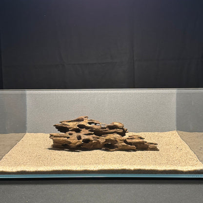 9”-14” Dragon Wood