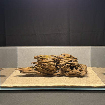 Dragon Wood for Aquarium (12-16")