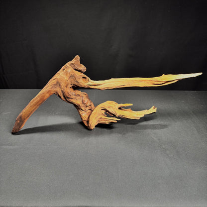 21” Malaysian Driftwood