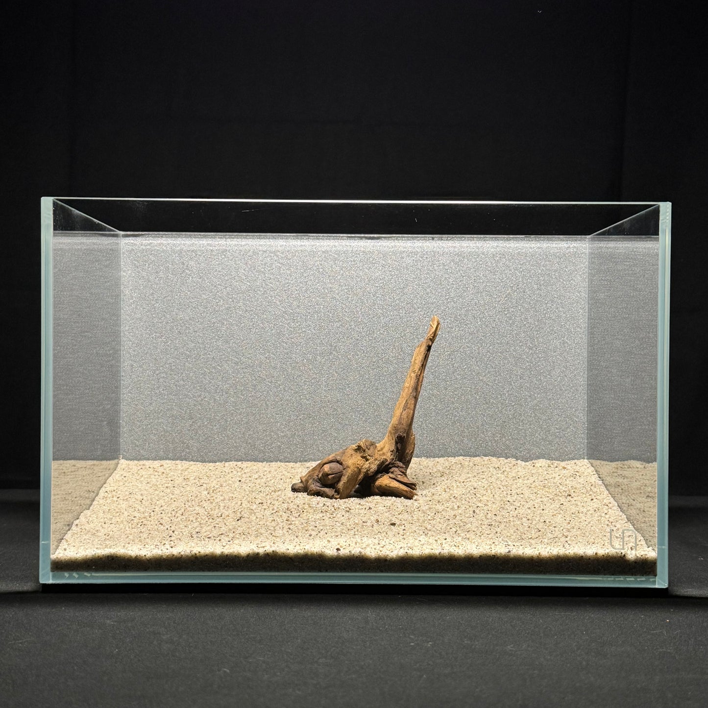 4”-6” Malaysian Driftwood