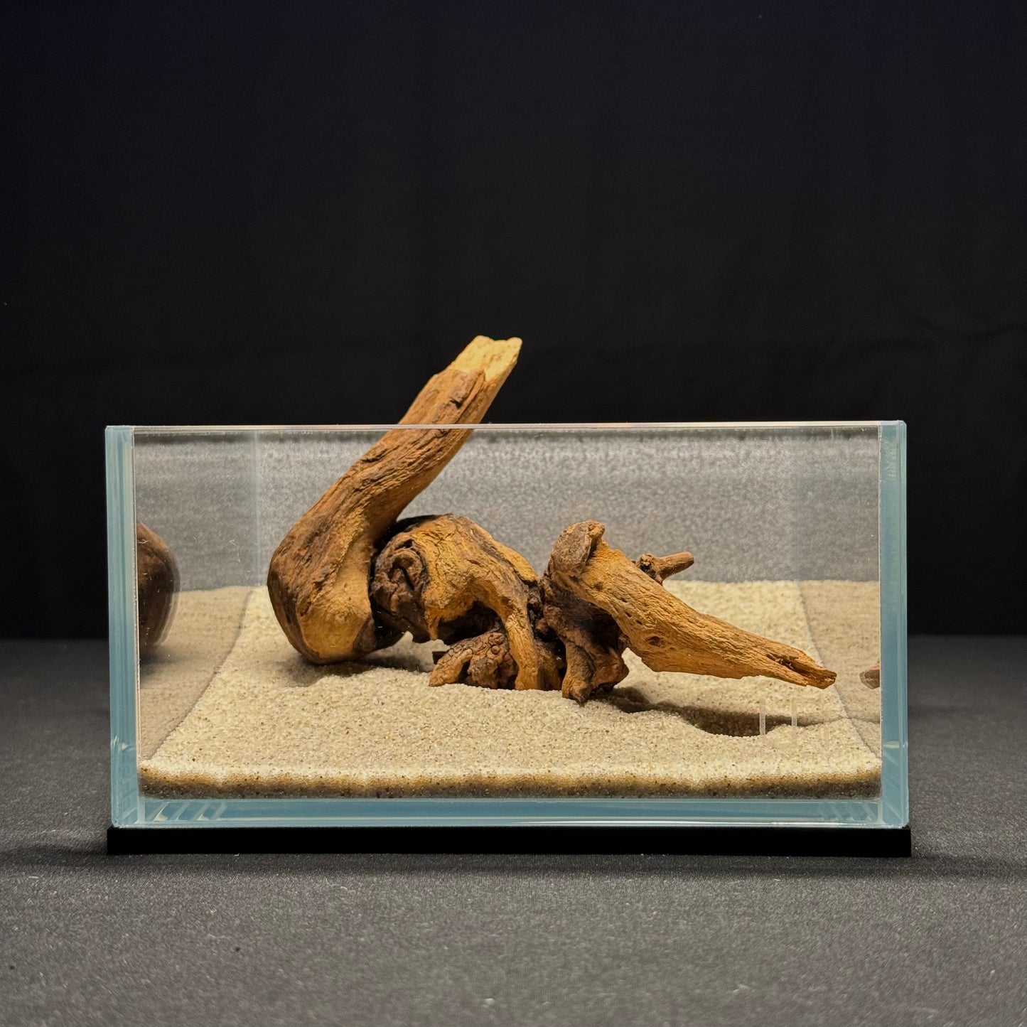 5"-6” Malaysian Driftwood