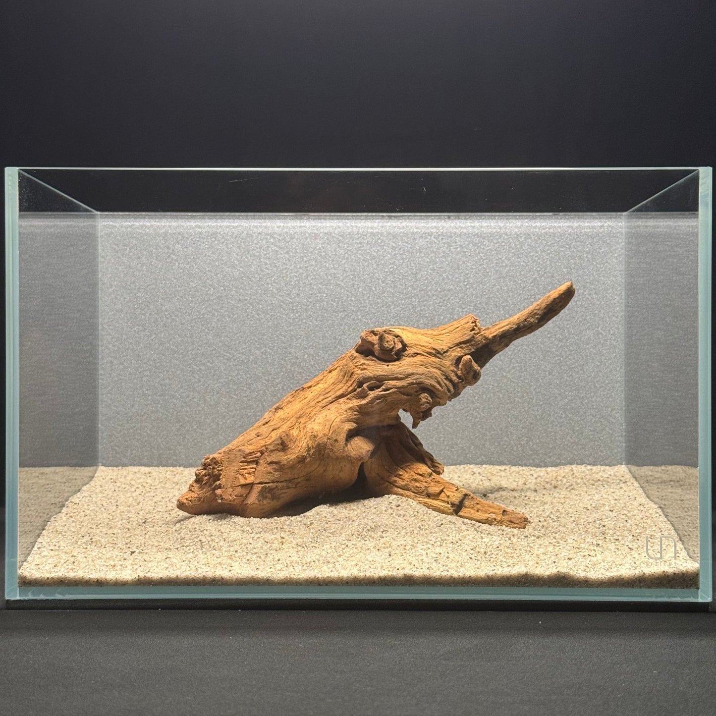 7”-11” Malaysian Driftwood