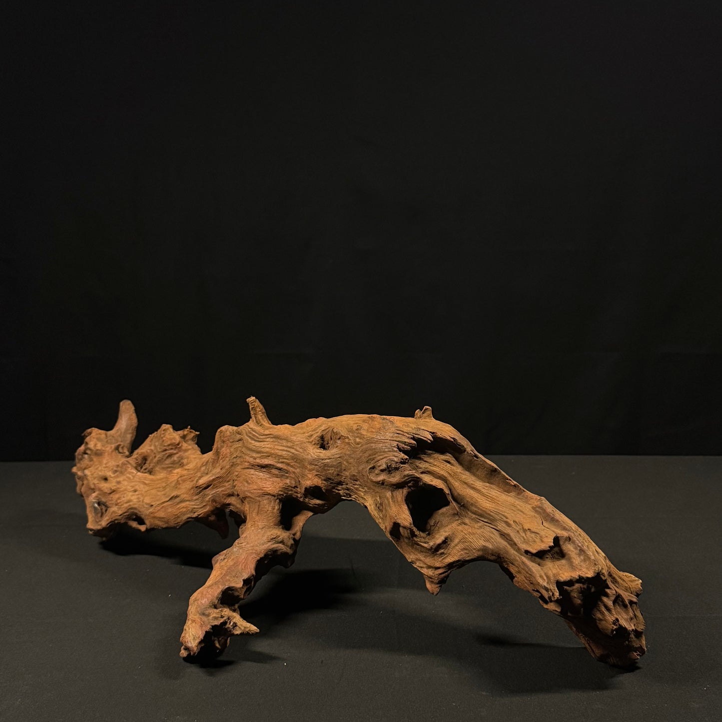 22” Malaysian Driftwood