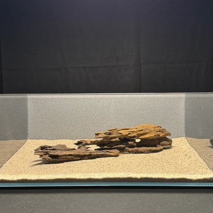 Dragon Wood for Aquarium (12-16")
