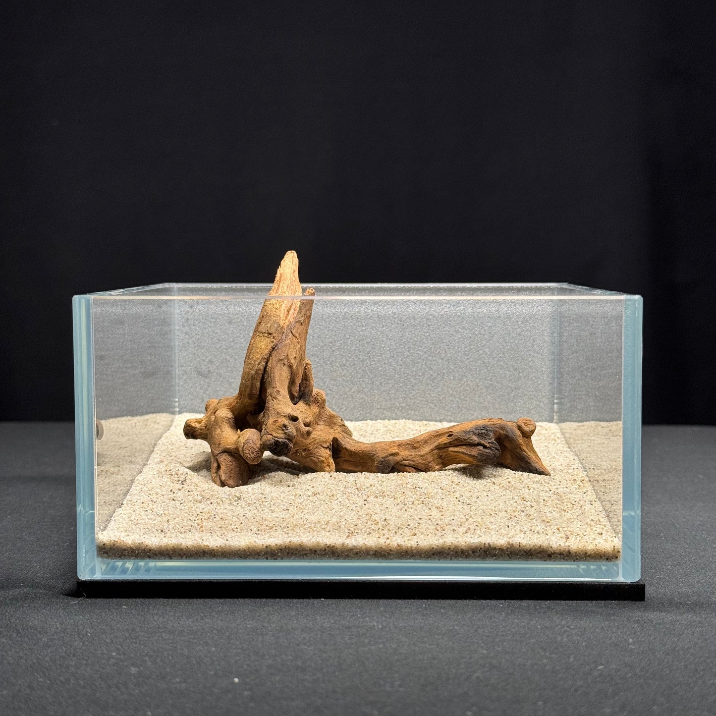 4”-6” Malaysian Driftwood (NEW)