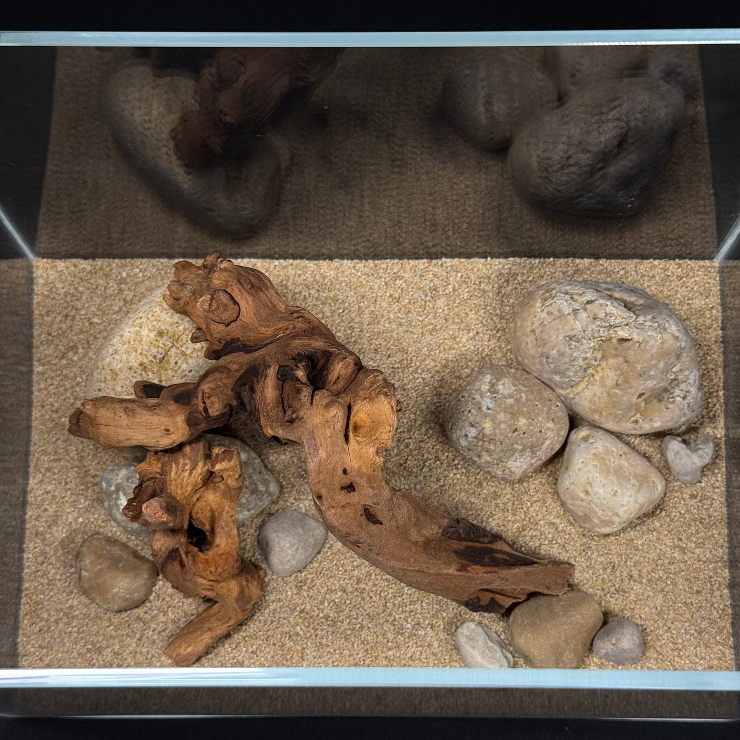 2 Gallon Complete Nano Hardscape Setup