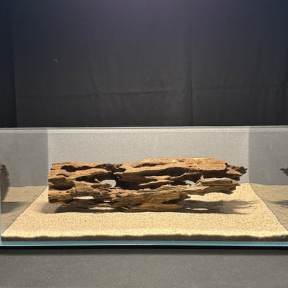 Dragon Wood for Aquarium (12-16")