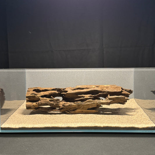 Dragon Wood for Aquarium (12-16")