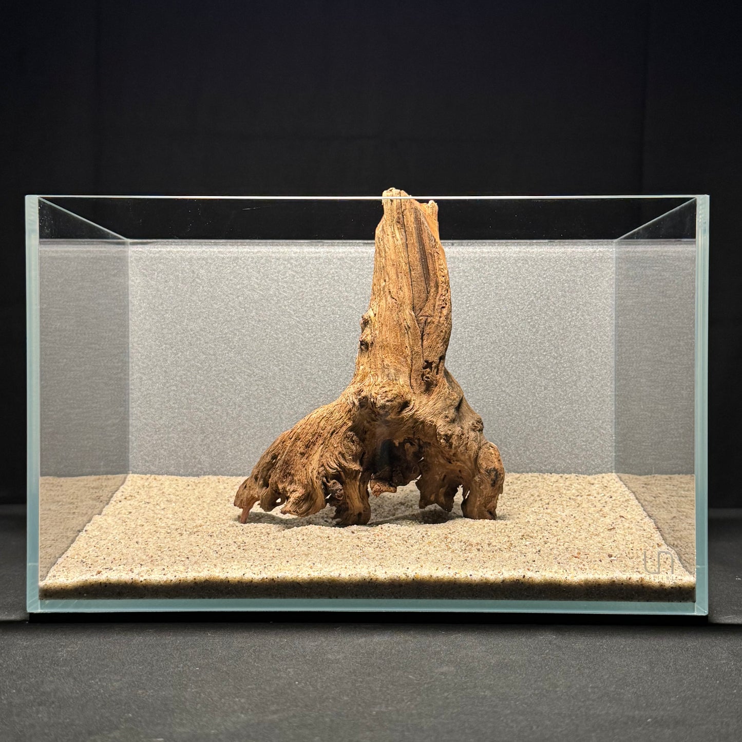 7”-8” Malaysian Driftwood