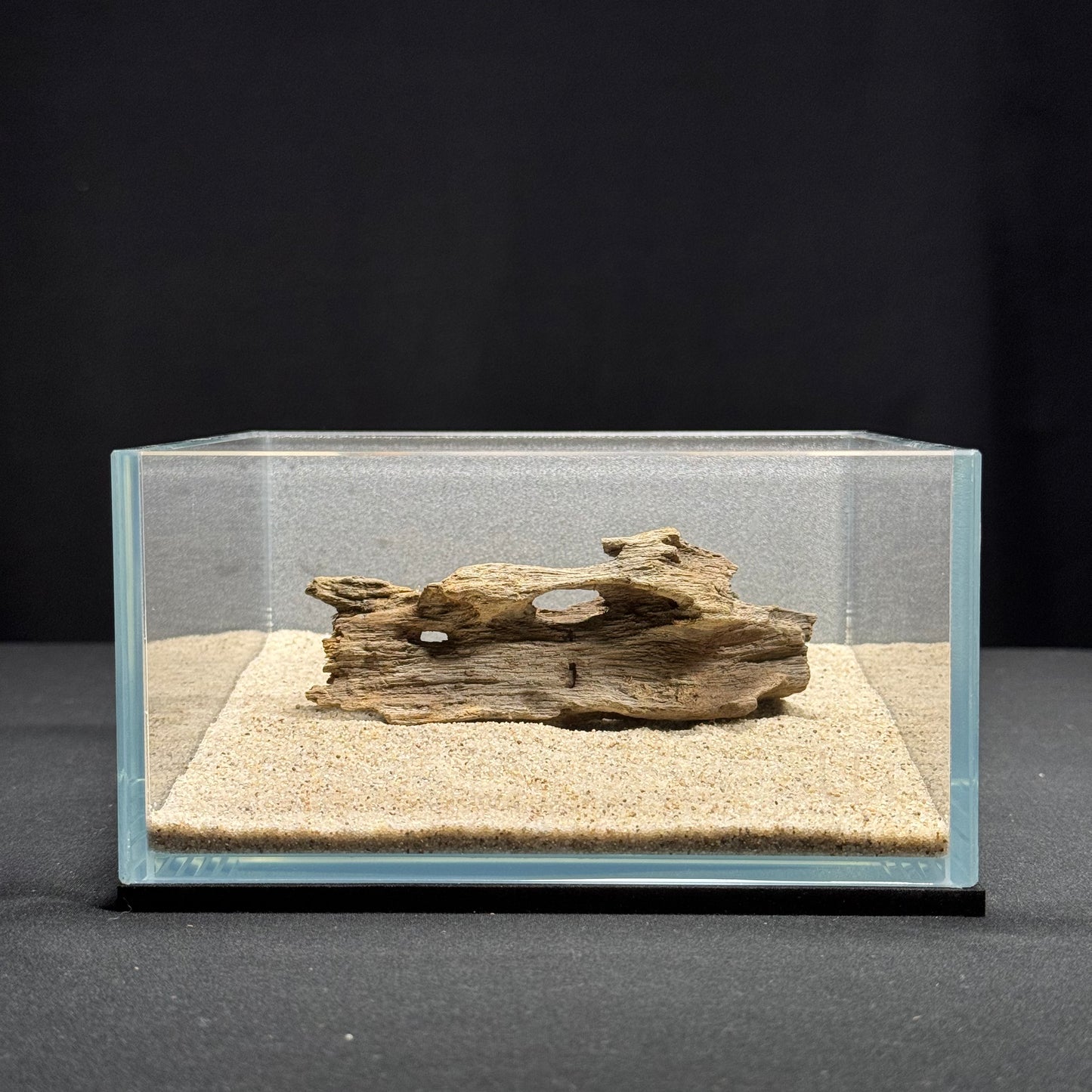 3”-5” Dragon Wood