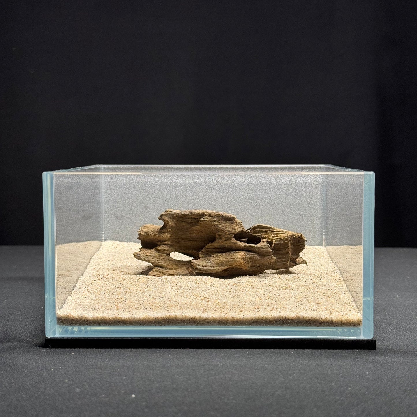 3”-5” Dragon Wood