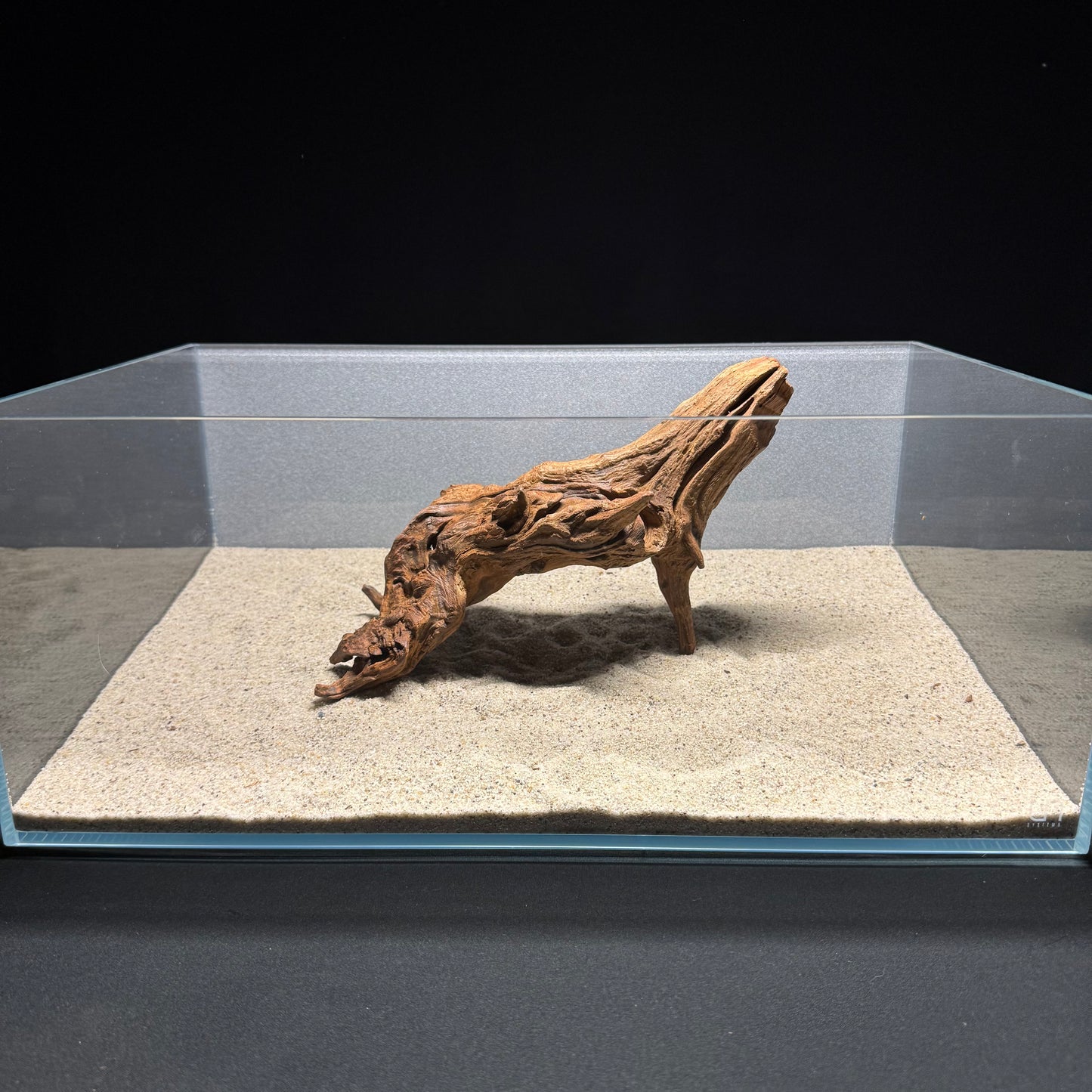 10”-12” Malaysian Driftwood [Tannins]